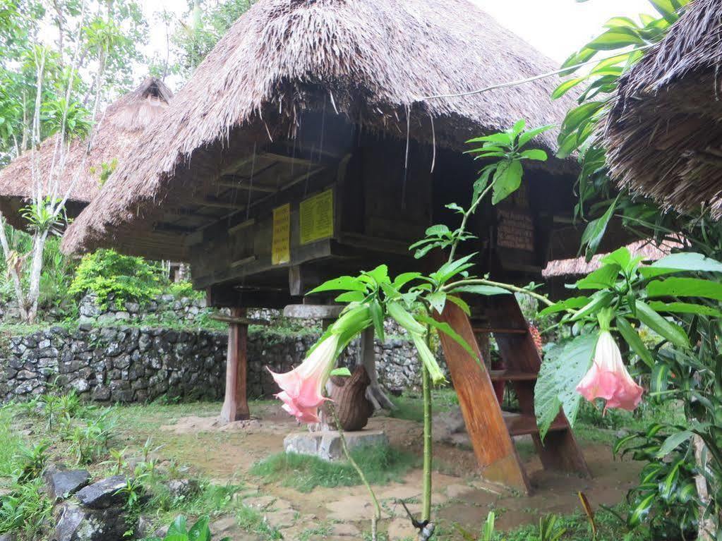 Native Village Inn Banaue Buitenkant foto